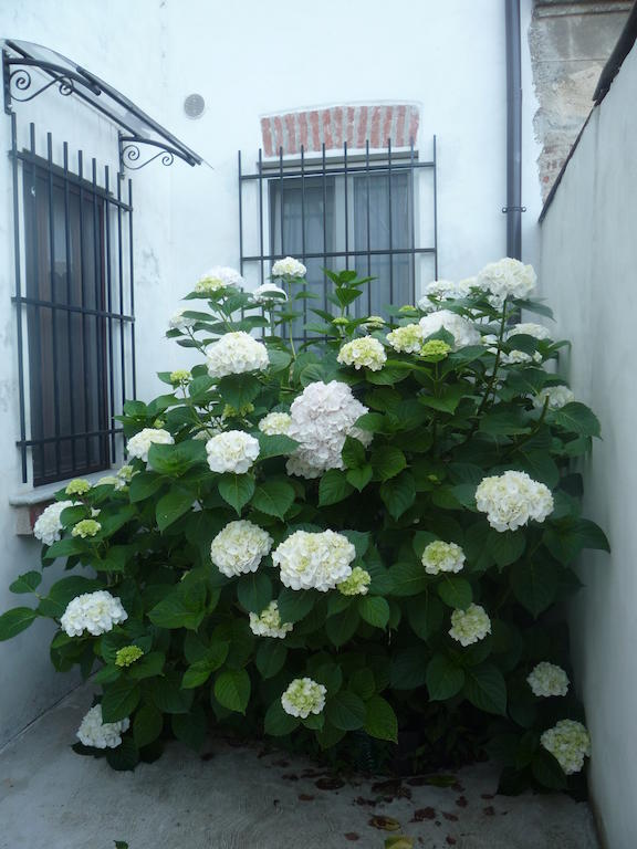 L'Adele Bed & Breakfast Occimiano Exterior photo
